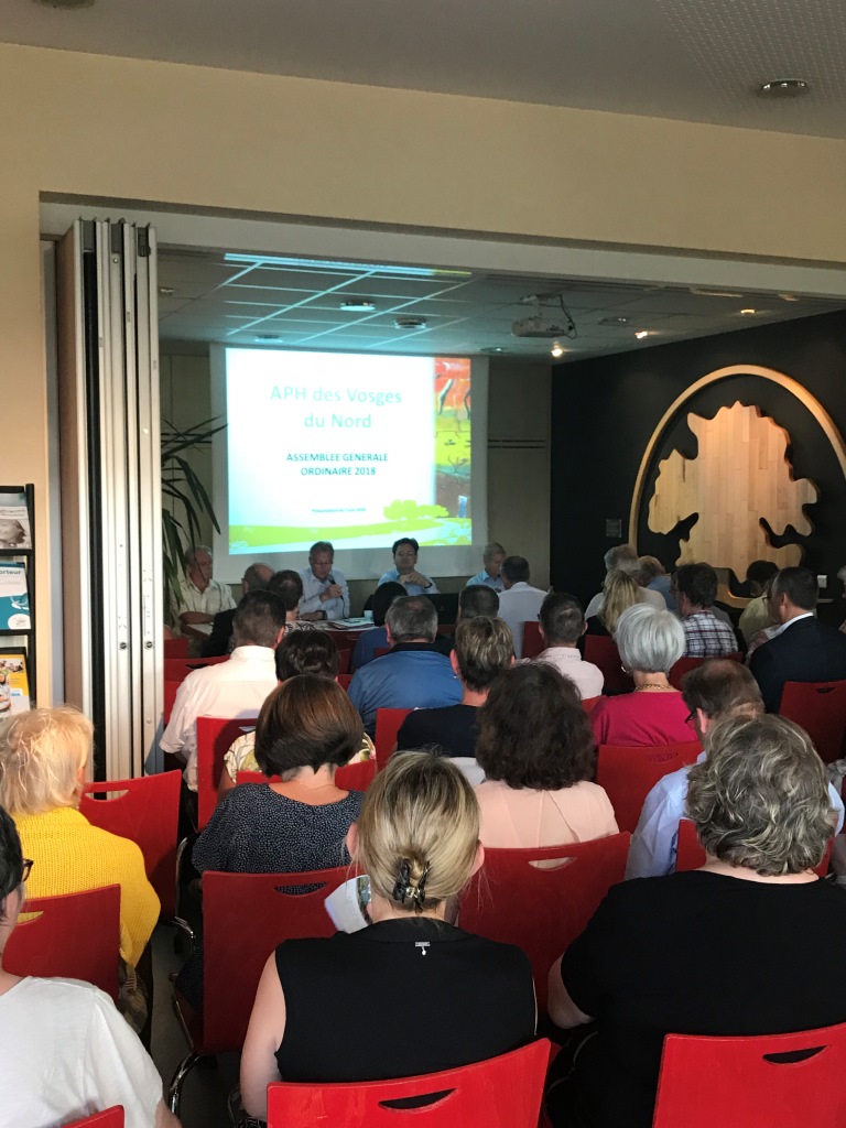 Historique de l’association APH des Vosges du Nord Historique de l’association APH des Vosges du Nord